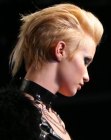 stijlvolle hanekam look