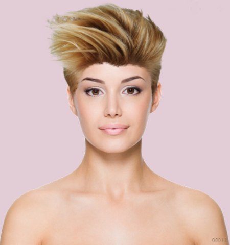 Virtuele kapsels - Feestelijk styling voor kort haar
