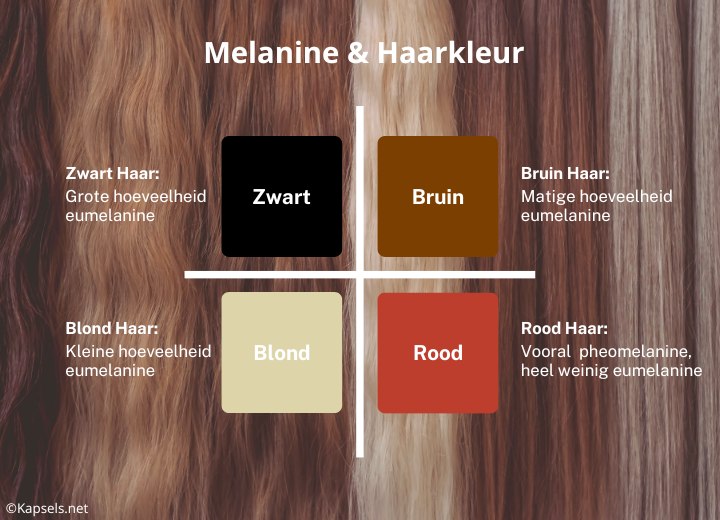 Melanine, eumelanine,pheomelanine en haarkleur