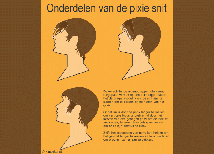 Het kiezen van een kort kopje of pixie cut