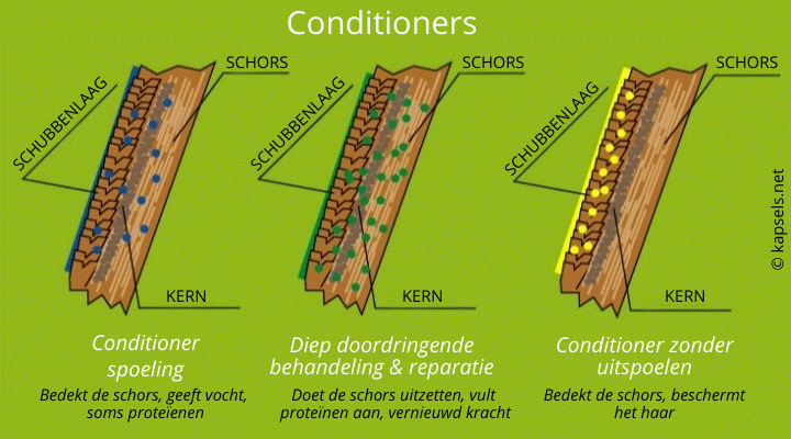 De verschilllende soorten conditioner