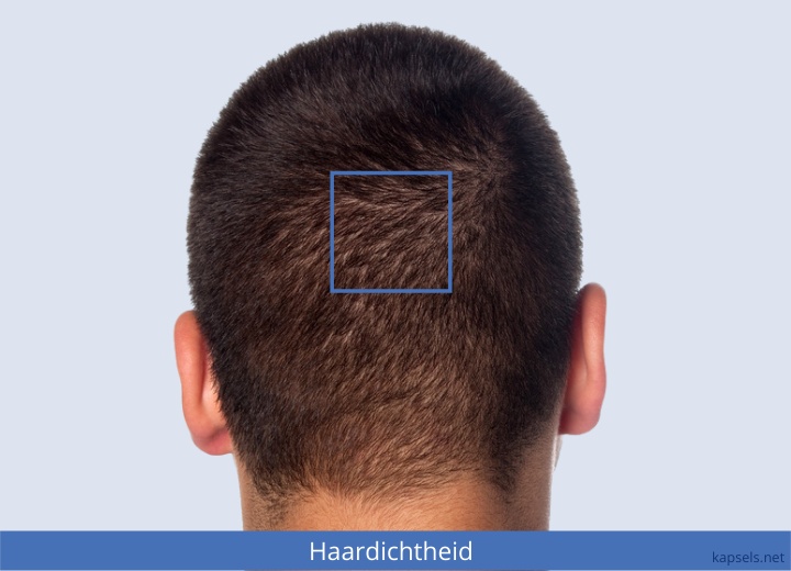 De dichtheid van haar