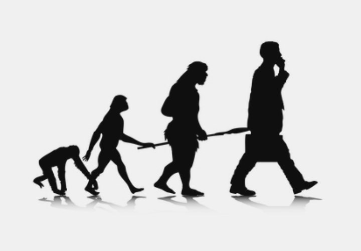Evolutie van de mens