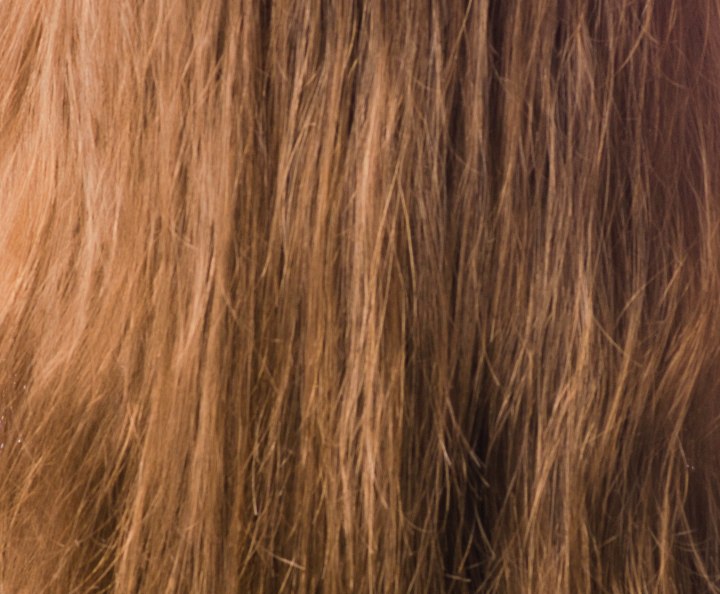 Haar