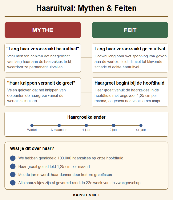 Infografiek - Mythen en feiten over haaruitval