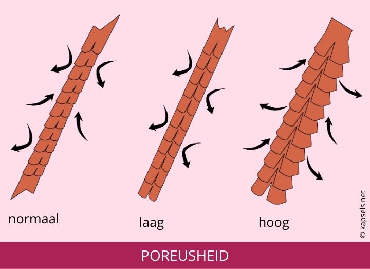 Poreusheid of porositeit van haar