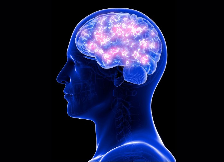Hersenen met neurotransmitters