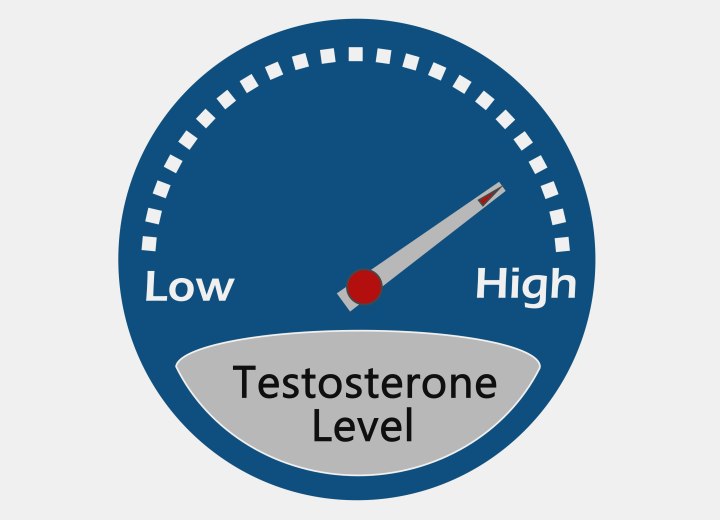Testosterongehalte