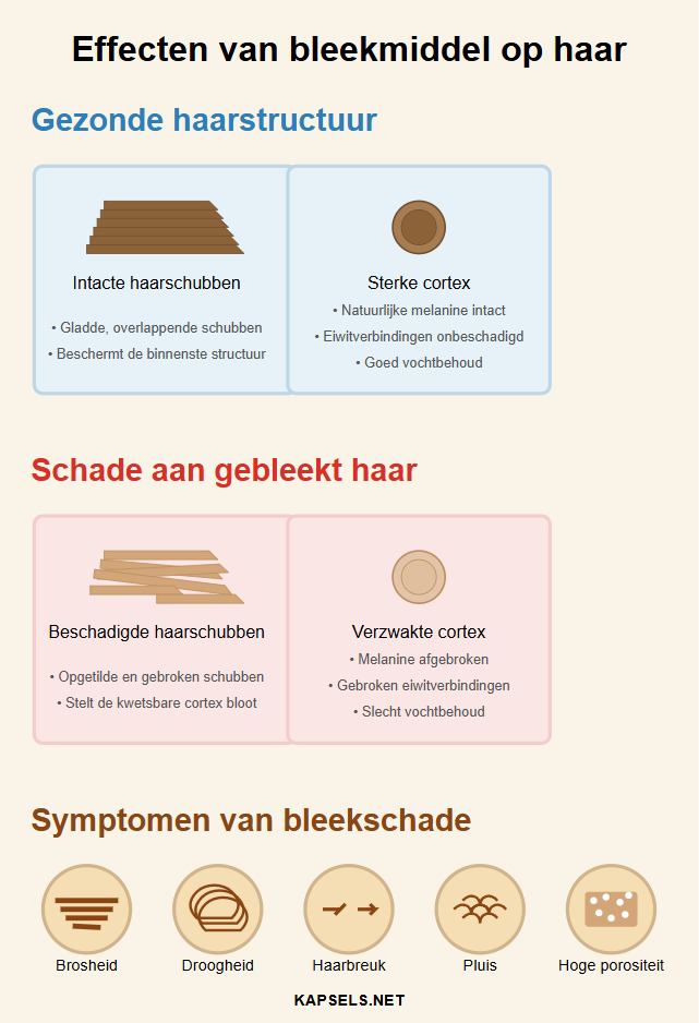 Infografiek - Schadelijke effecten van bleekmiddel op haar