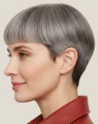 Korte coupe met micropony voor grijs haar