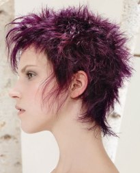 paars haar