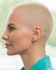 Platinablond haar in een buzzcut