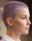 Paars haar in een buzz cut