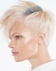 pixie