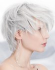 zilveren haar
