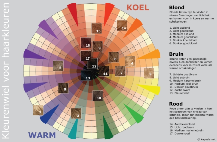 Kleurenwiel voor haarkleuren