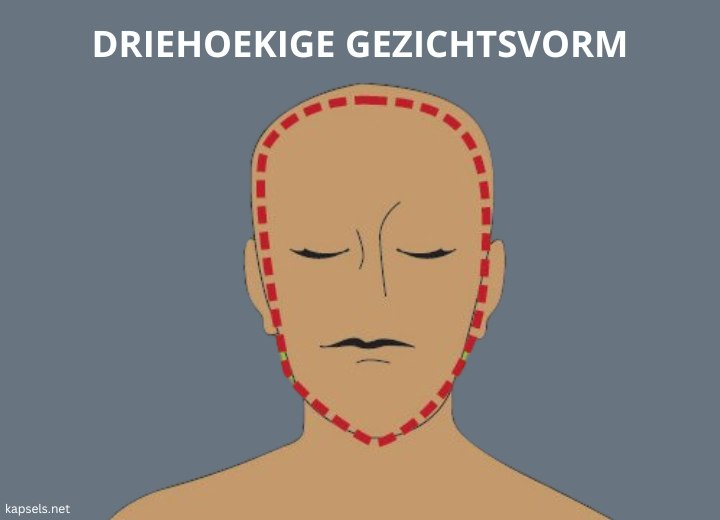 Driehoekige gezichtsvorm