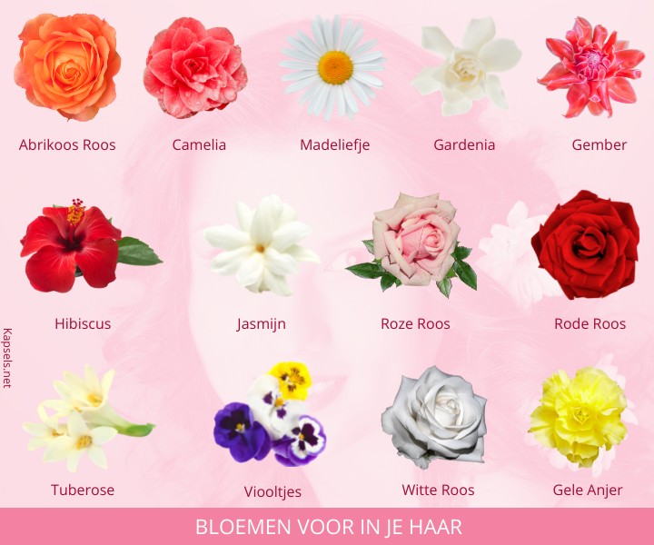 Bloemen voor in je haar